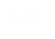 National Insurance Crime Training Academy - NICTA